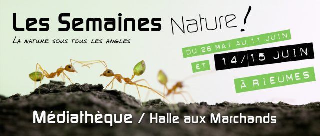 Meet my exhibition in south of France