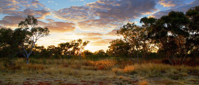 Couché Australien | Aussie Sundown