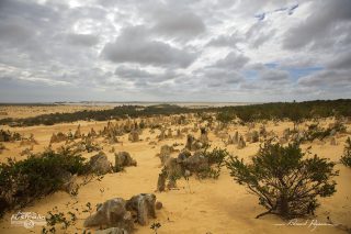 The Pinnacles The Pinnacles
