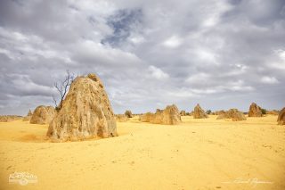 The Pinnacles The Pinnacles