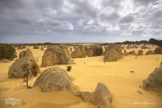 The Pinnacles The Pinnacles