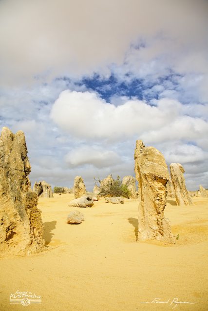 The Pinnacles The Pinnacles