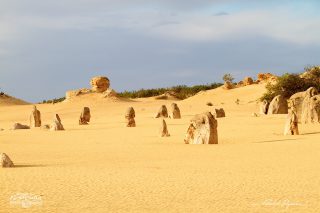 The Pinnacles The Pinnacles