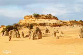 The Pinnacles The Pinnacles
