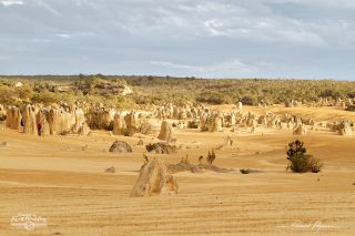 The Pinnacles The Pinnacles