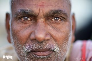 Un regard qui touche