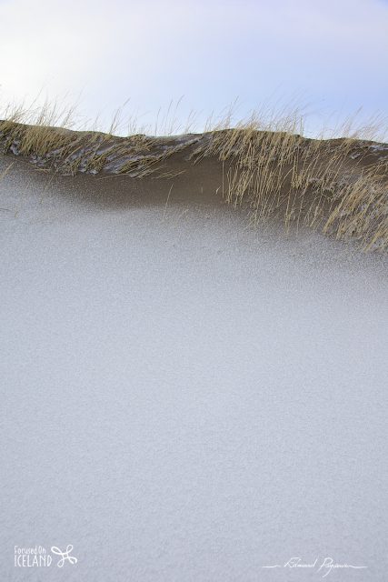 De Neige et de Sable De Neige et de Sable