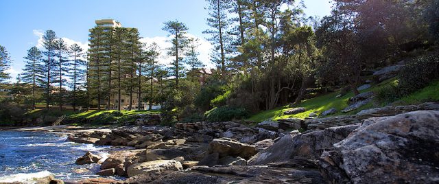 Rivage de Manly